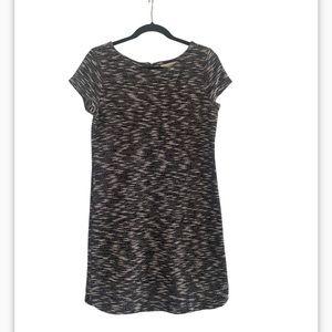 Ann Taylor Loft knitted dress size small NWOT